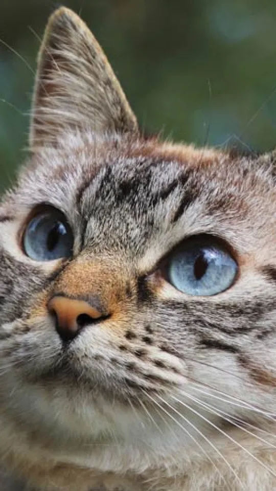 Сергеев Сергей Сергеевич