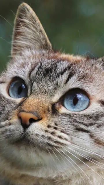 Сергеев Сергей Сергеевич